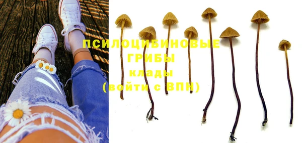 дживик Нефтекумск