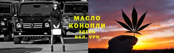 мдпв Инсар
