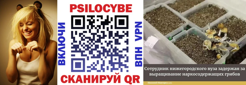 площадка состав  MEGA ТОР  Псилоцибиновые грибы мицелий  Карталы  купить наркотик 